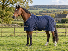 Horse Wear