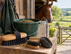 Equipment Grooming & Feeding