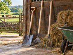 Tools & Handles