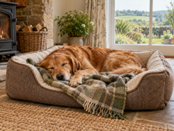 Bedding